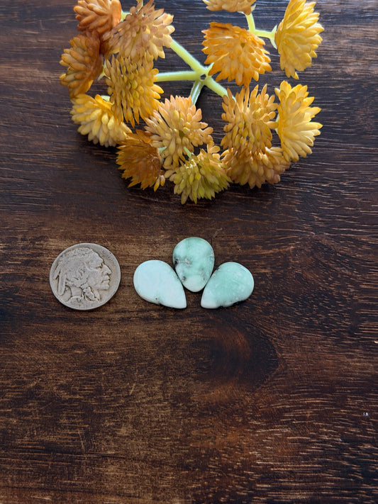 Paloma Variscite Cabs
