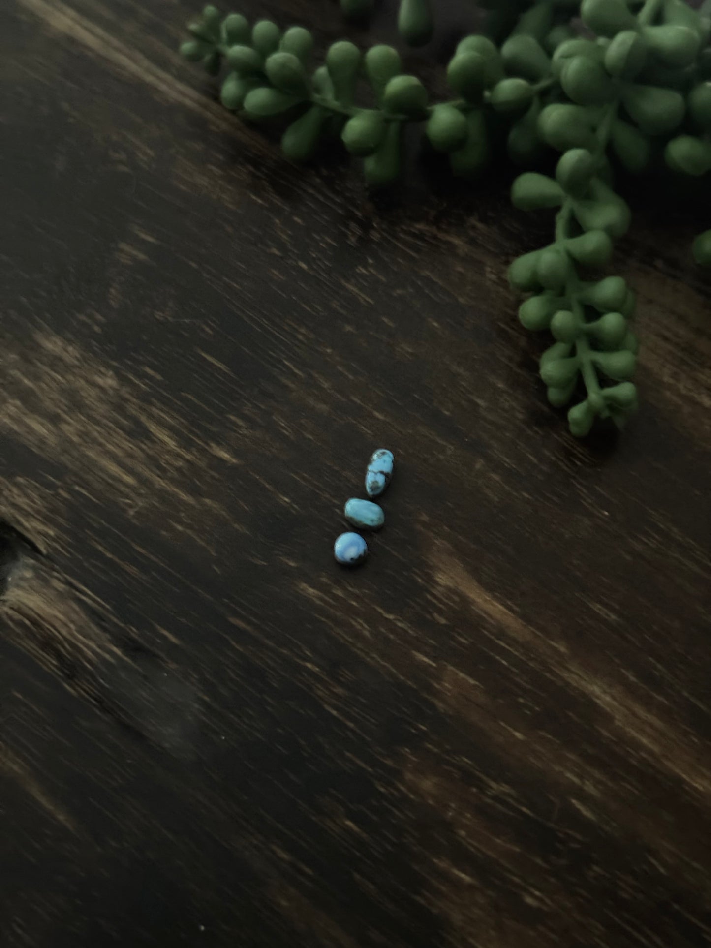 Golden Hills Turquoise Cabs