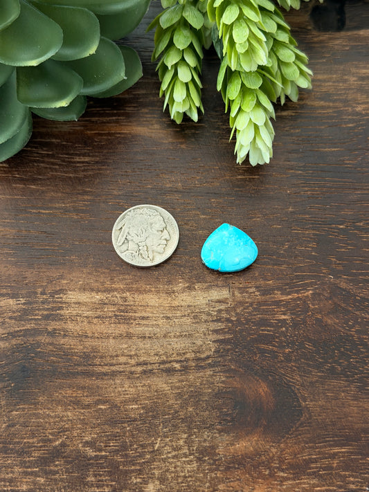 Blue Bird Turquoise Cab