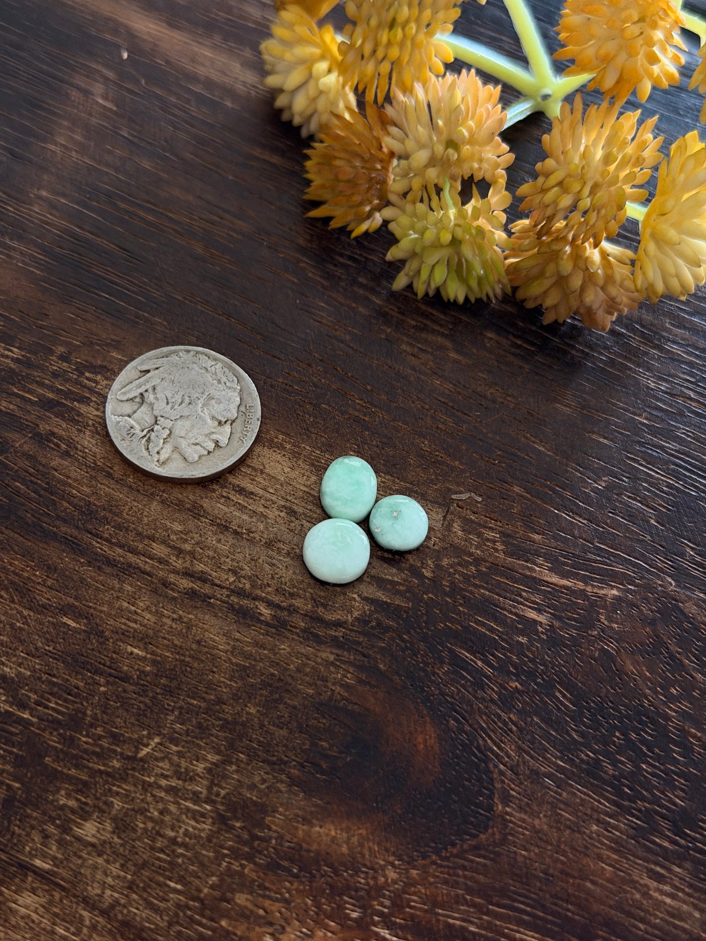 Paloma Variscite Cabs