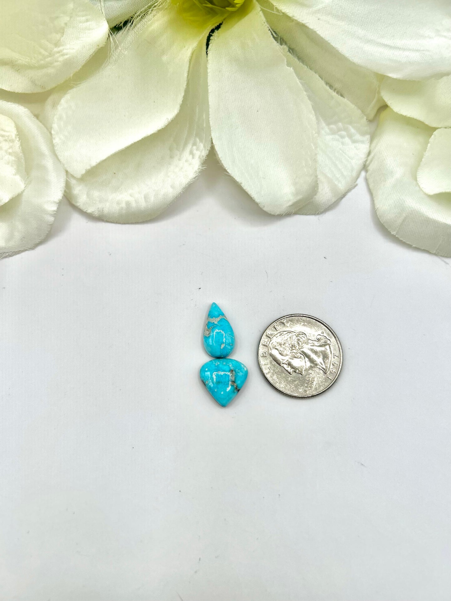 Blue Ridge Turquoise Cabs