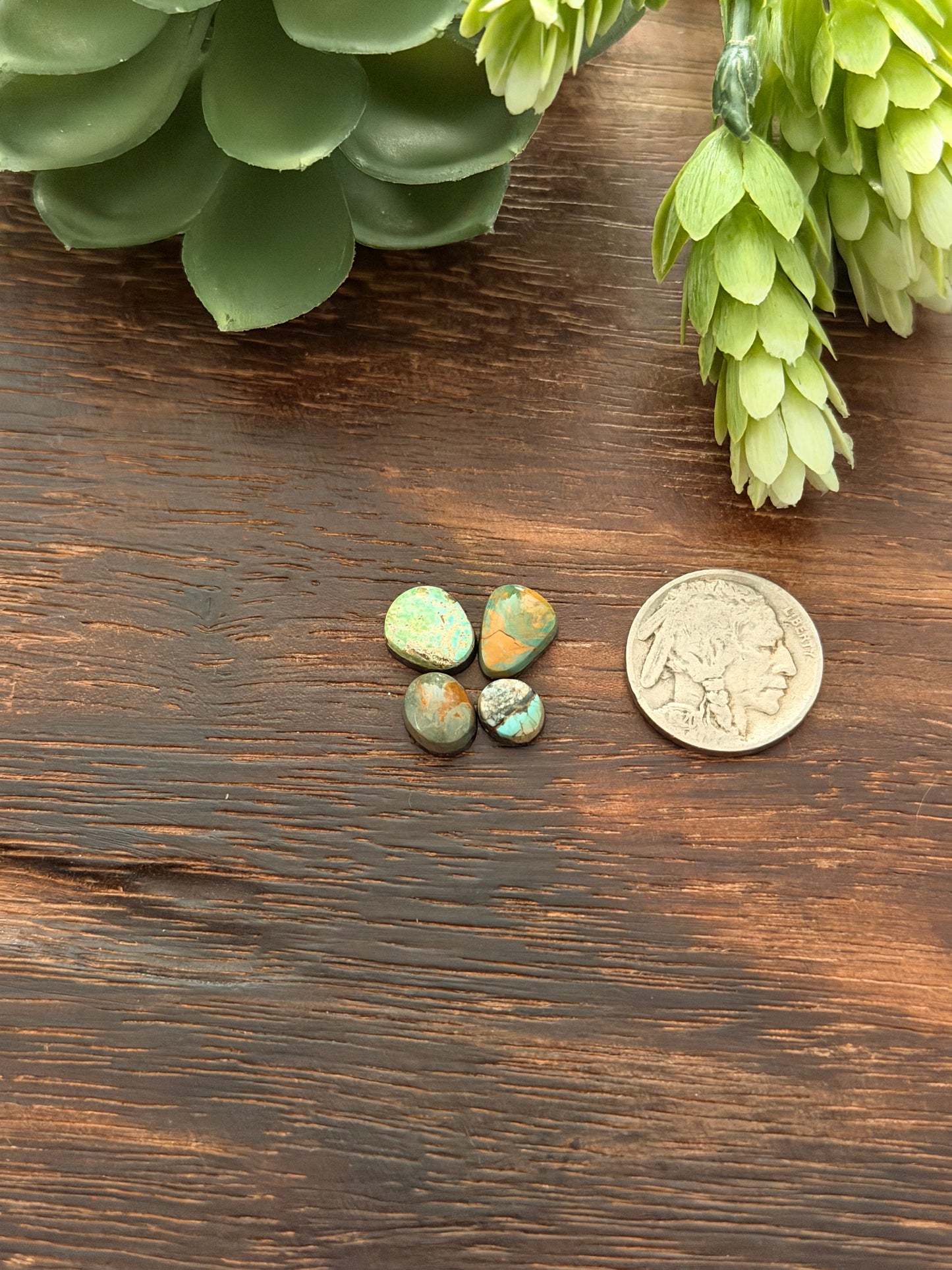 Evans Turquoise Cabs