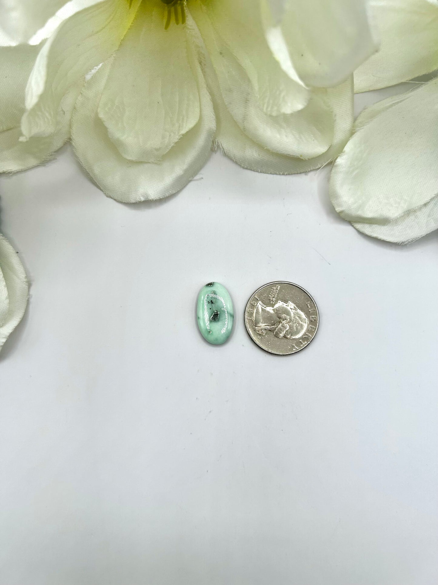 Paloma Variscite Cabs