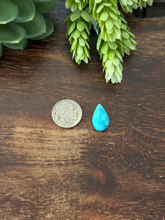 Blue Bird Turquoise Cab