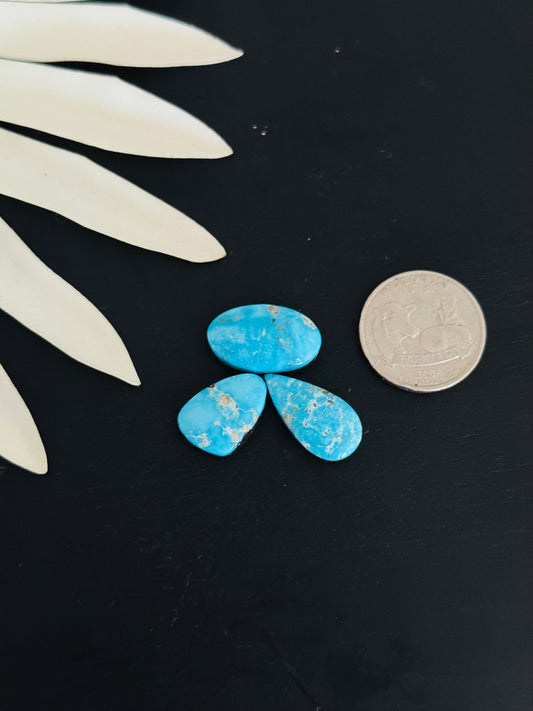 Blue Bird Turquoise Cabs