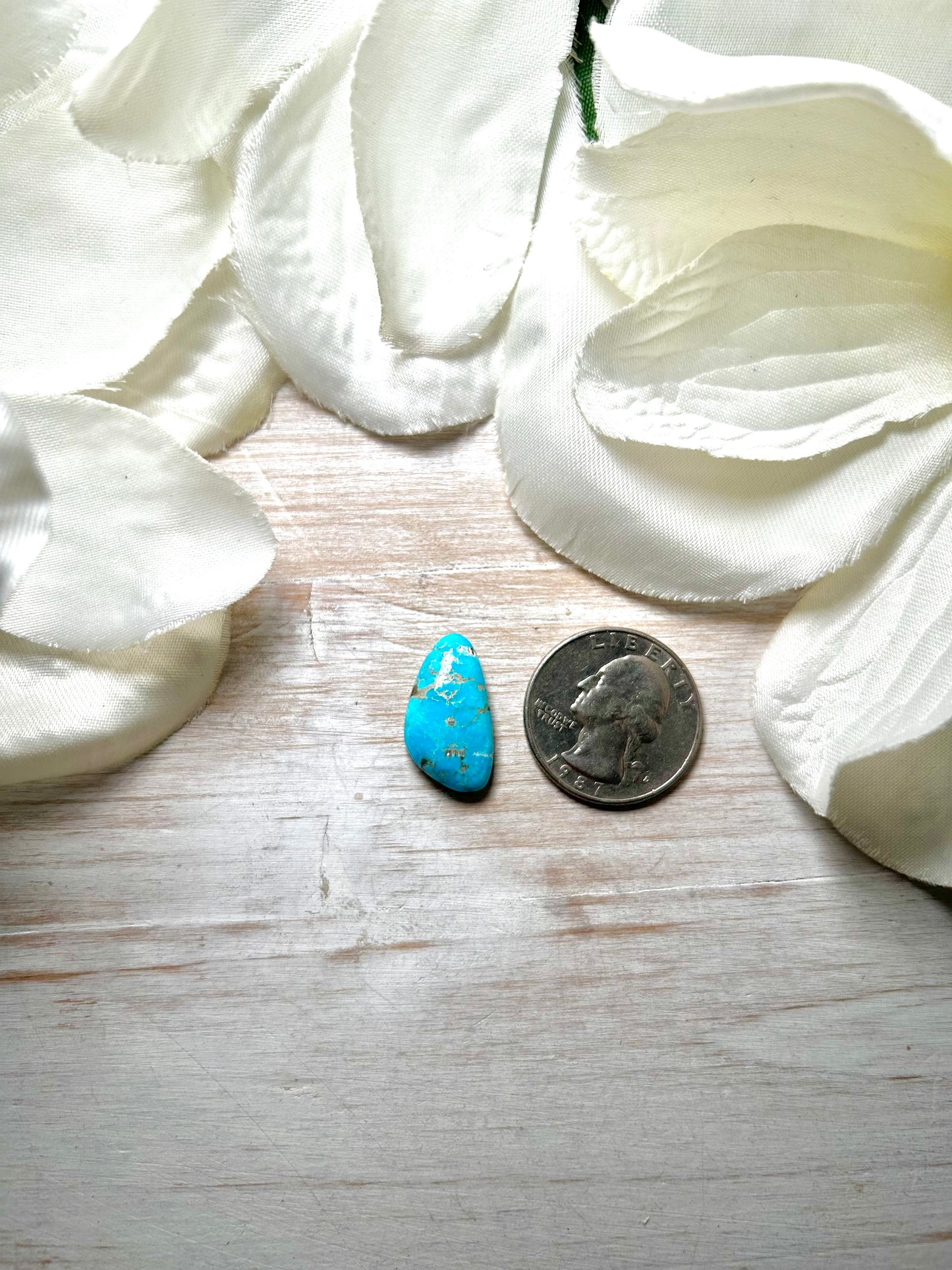 Blue Ridge Turquoise Cab