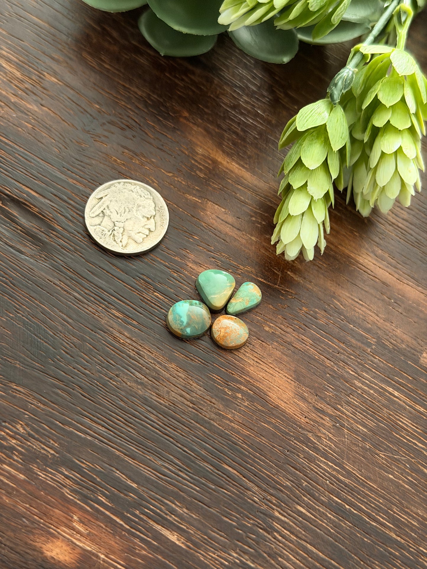 Evans Turquoise Cabs