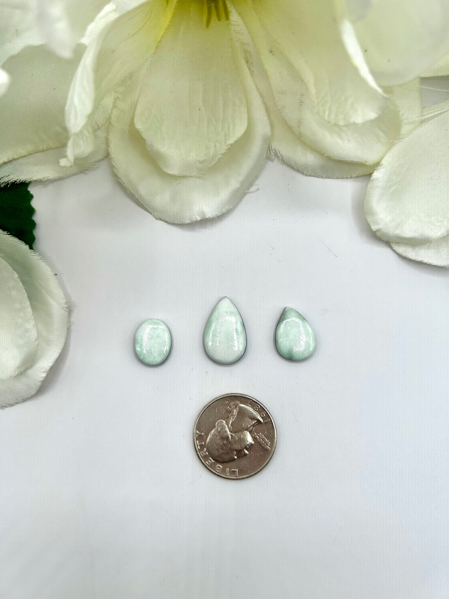 Paloma Variscite Cabs