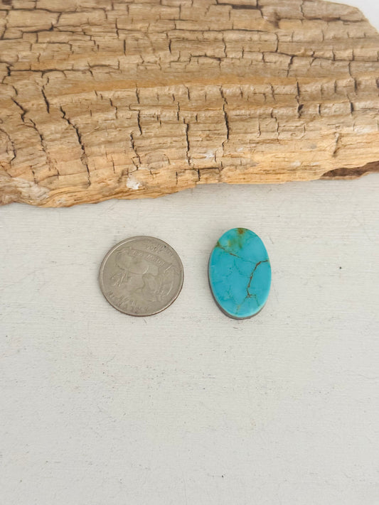 Natural Kings Manassa Turquoise Cab