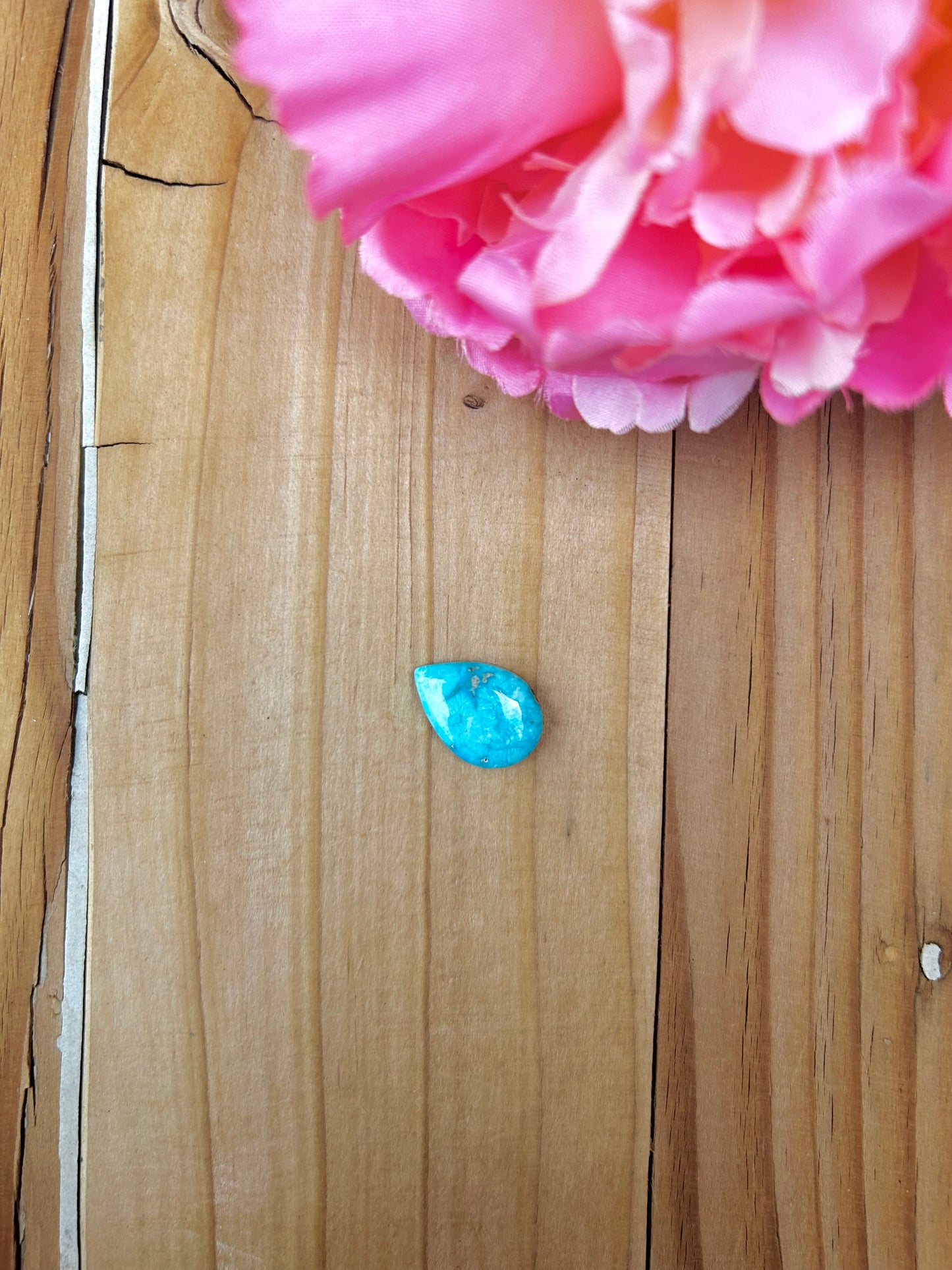 Blue Bird Turquoise Cabs