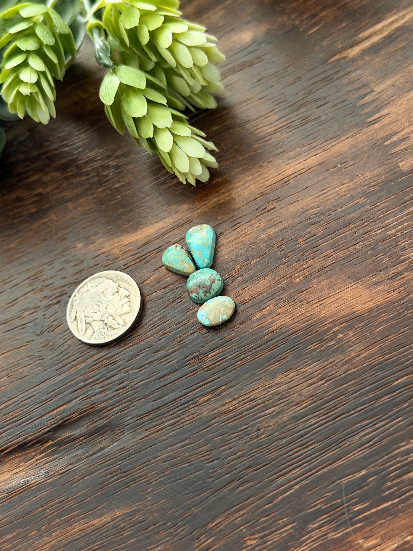 Evans Turquoise Cabs