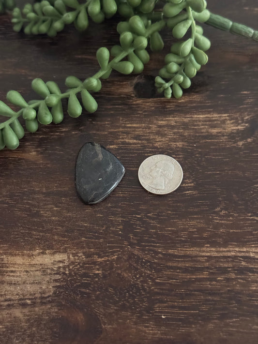 Black Jack Turquoise Cab