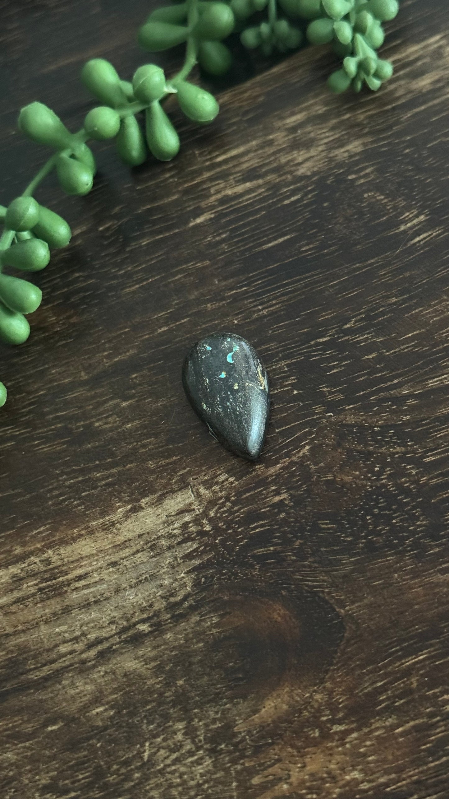 Black Jack Turquoise Cab