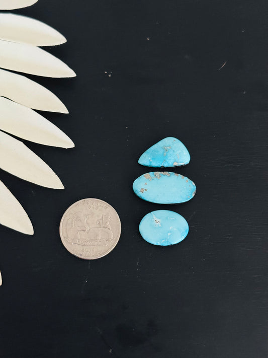 Blue Bird Turquoise Cabs