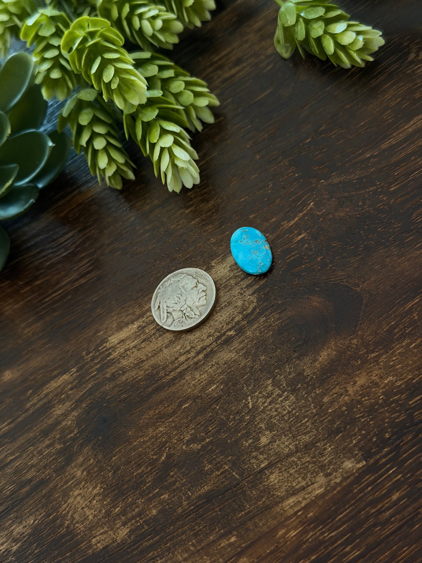 Blue Bird Turquoise Cab