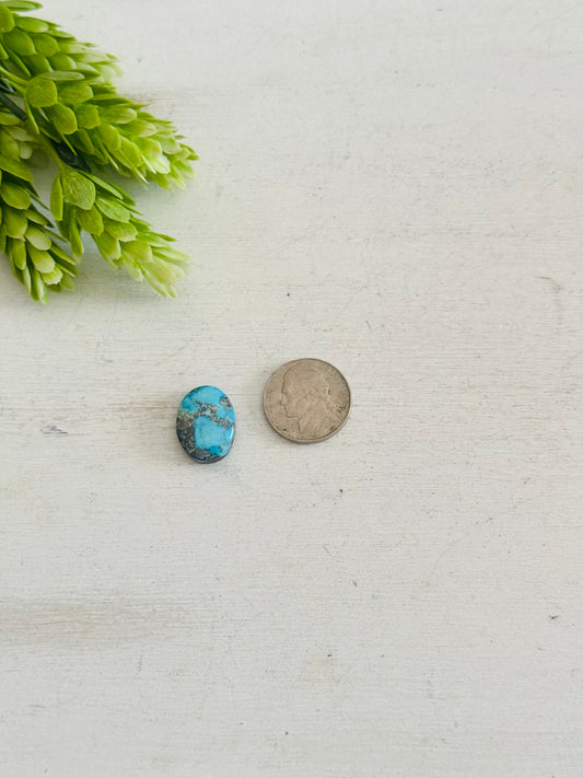 Blue Bird Turquoise Cab