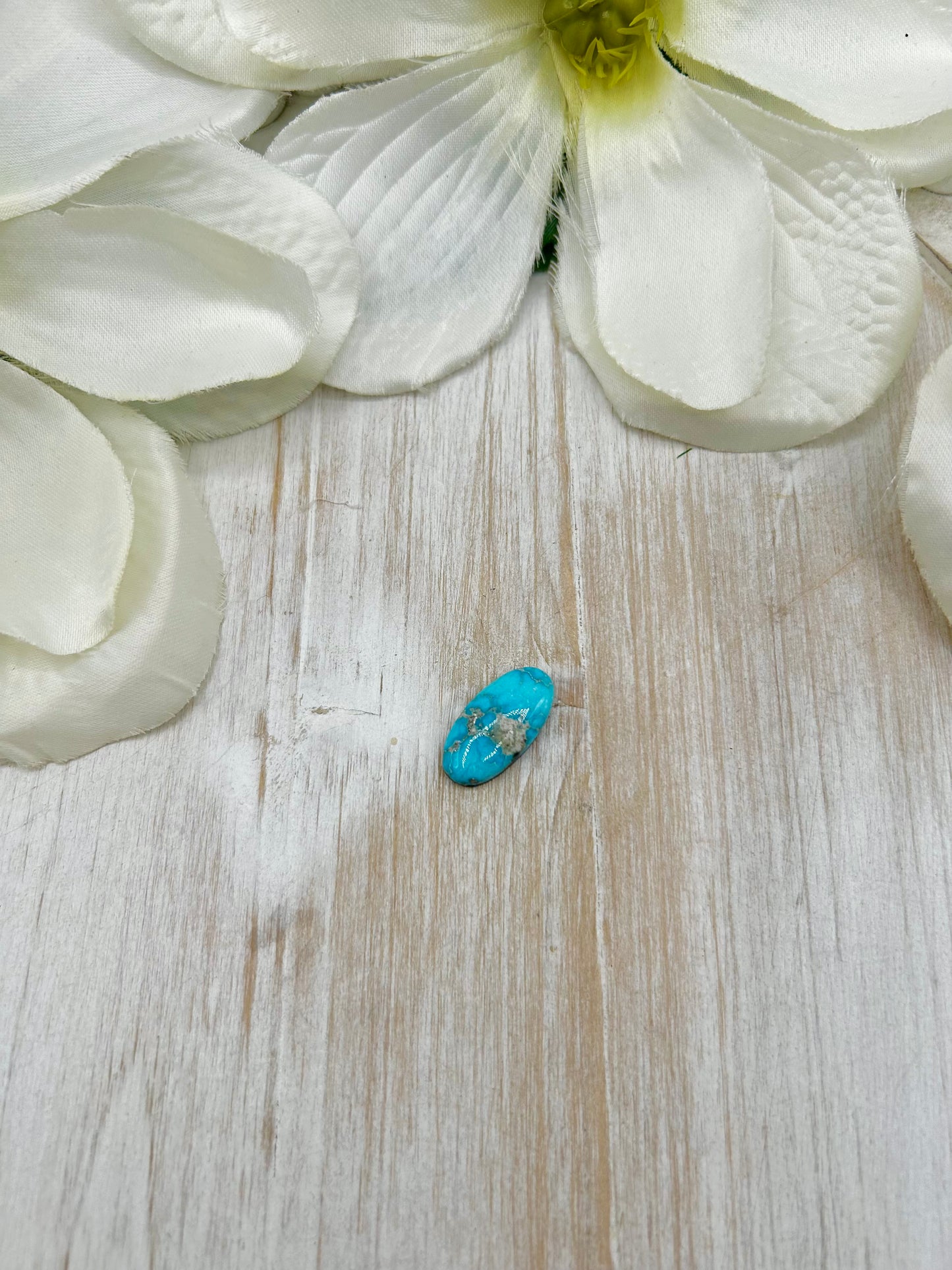 Blue Ridge Turquoise Cab