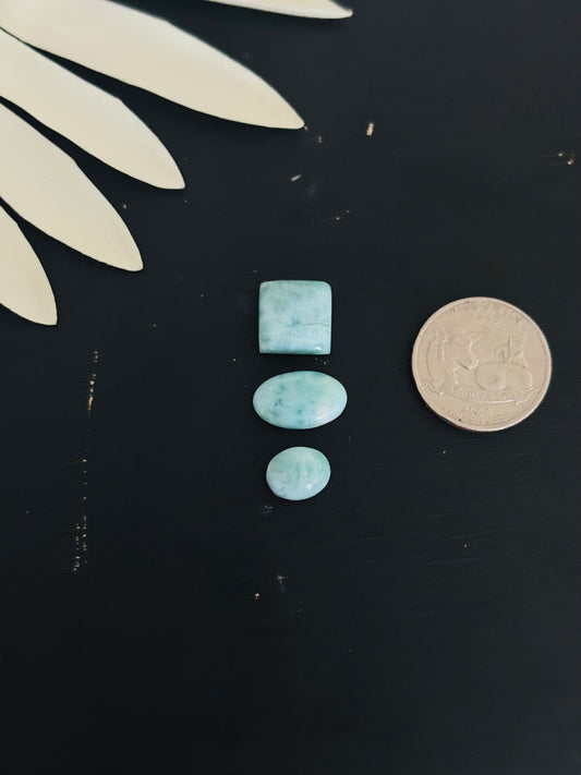 Larimar Cabs