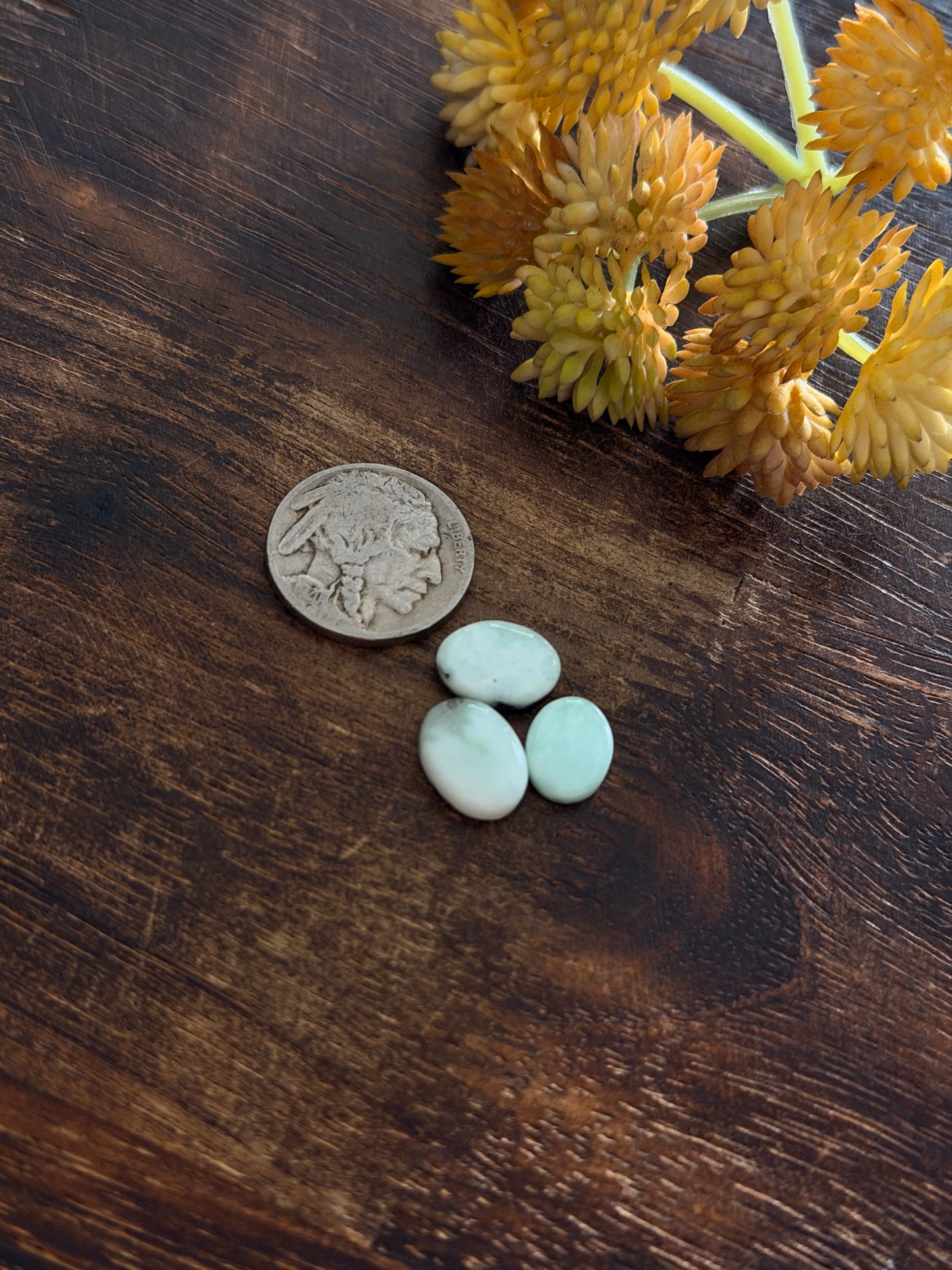 Paloma Variscite Cabs