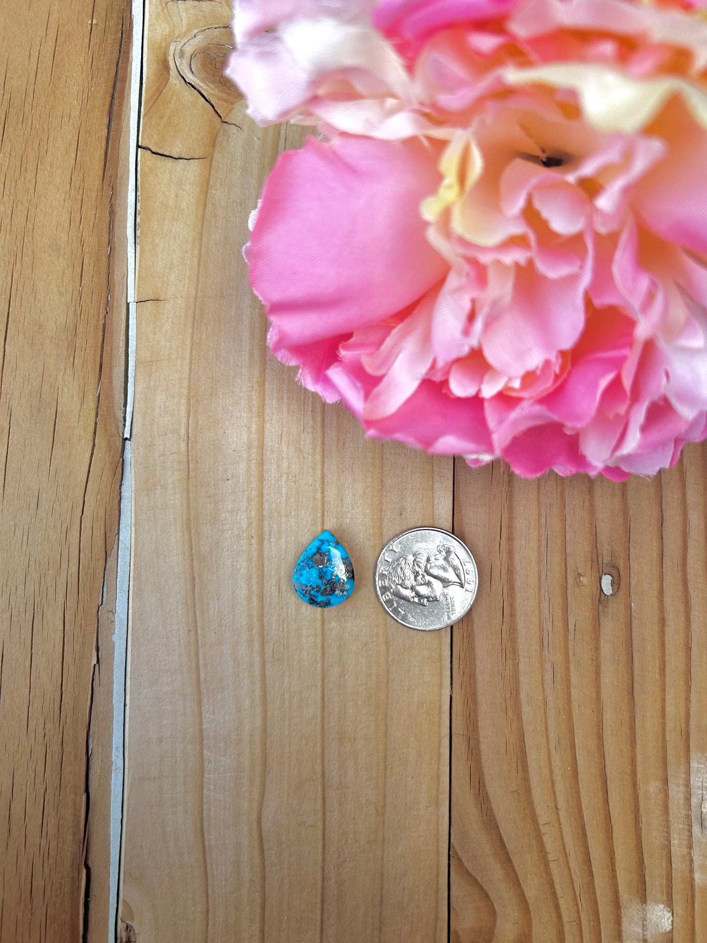 Blue Bird Turquoise Cabs