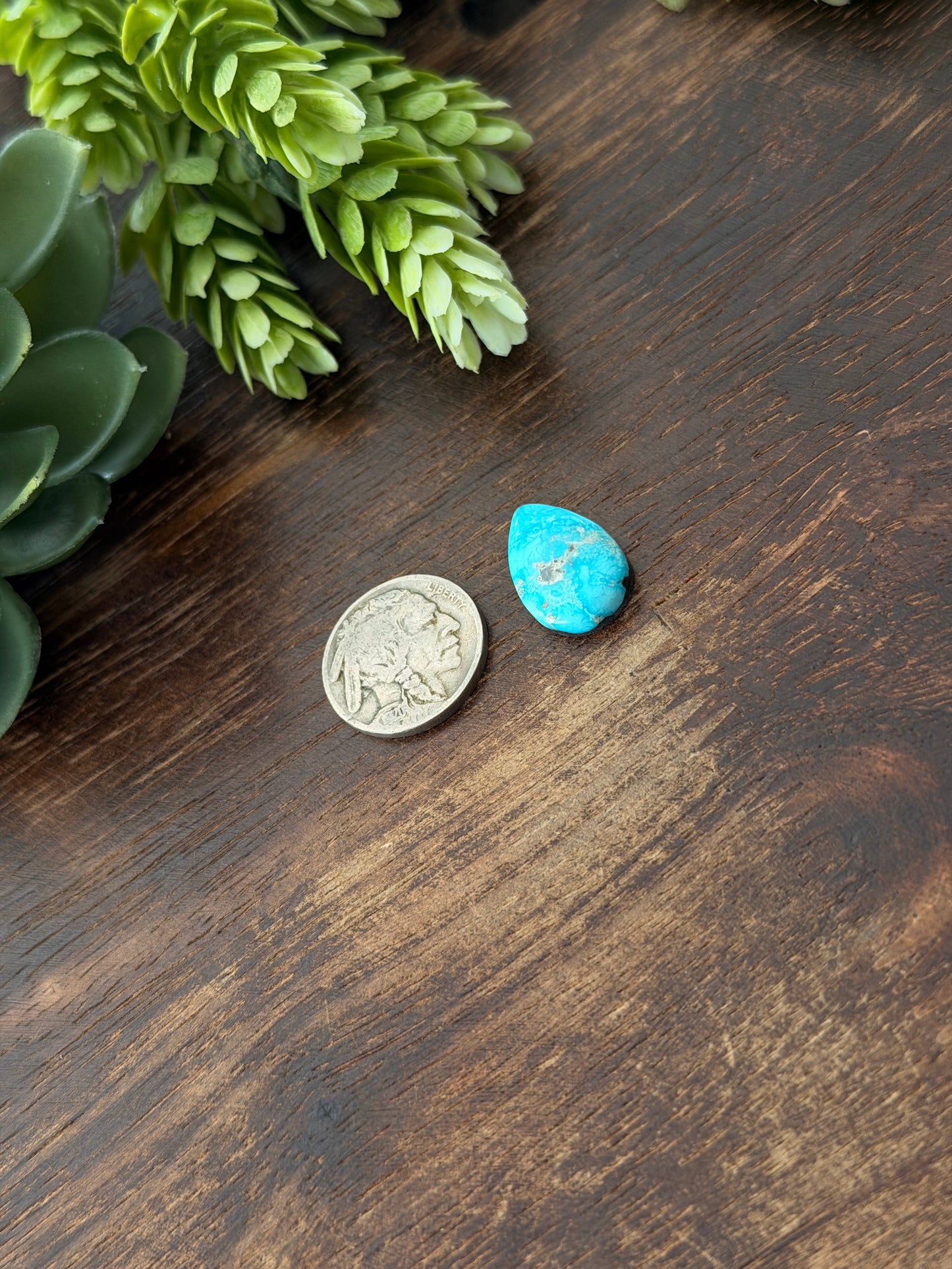 Blue Bird Turquoise Cab