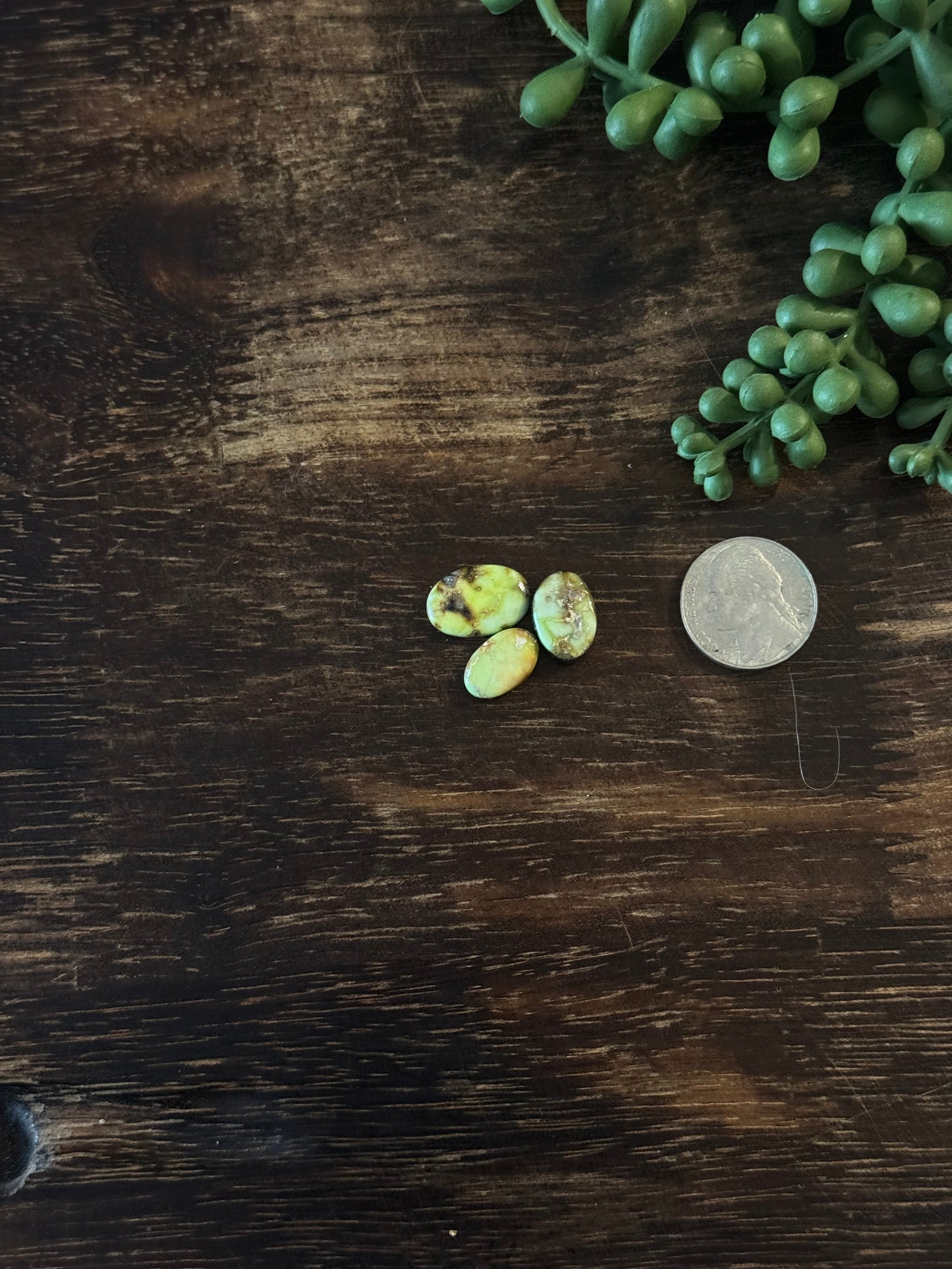 Palomino Variscite Cabs