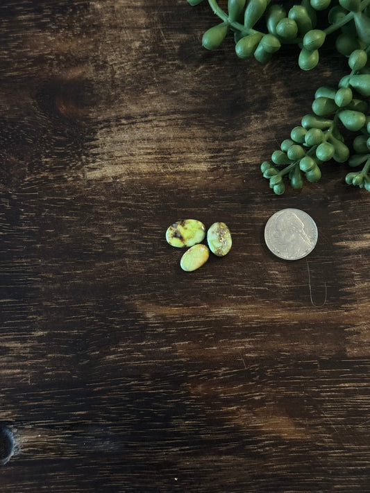 Palomino Variscite Cabs