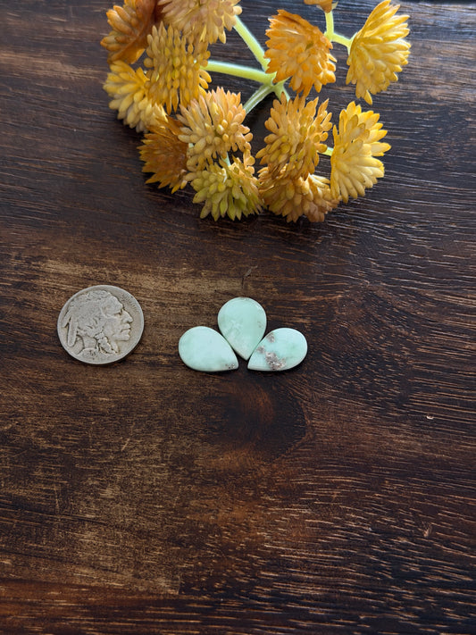 Paloma Variscite Cabs