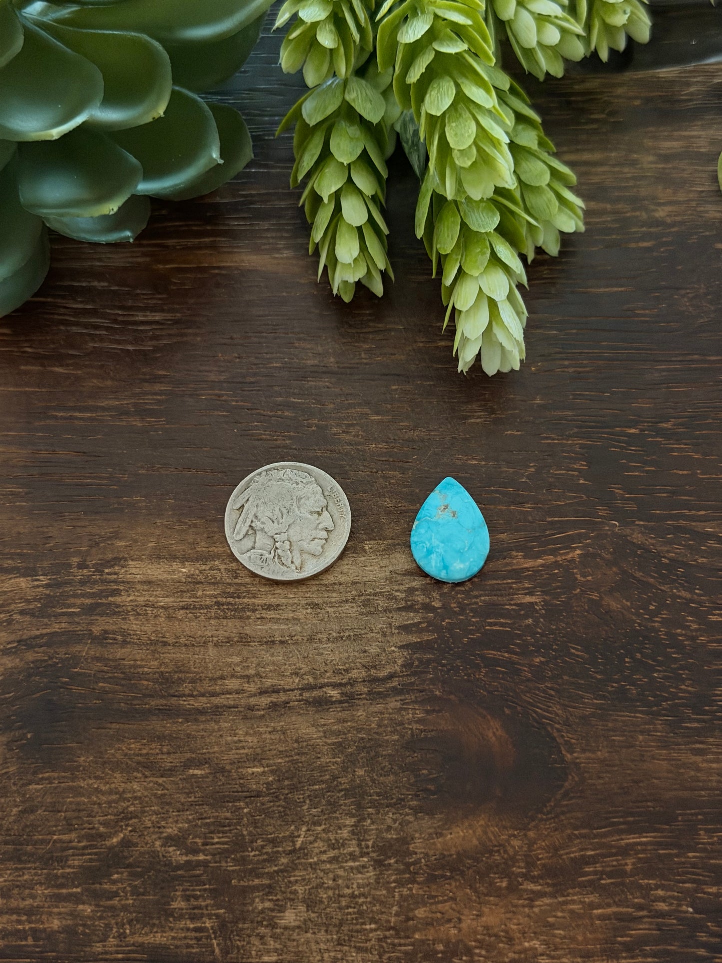Blue Bird Turquoise Cab