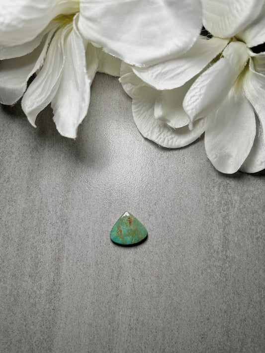 Kingman Turquoise Cab