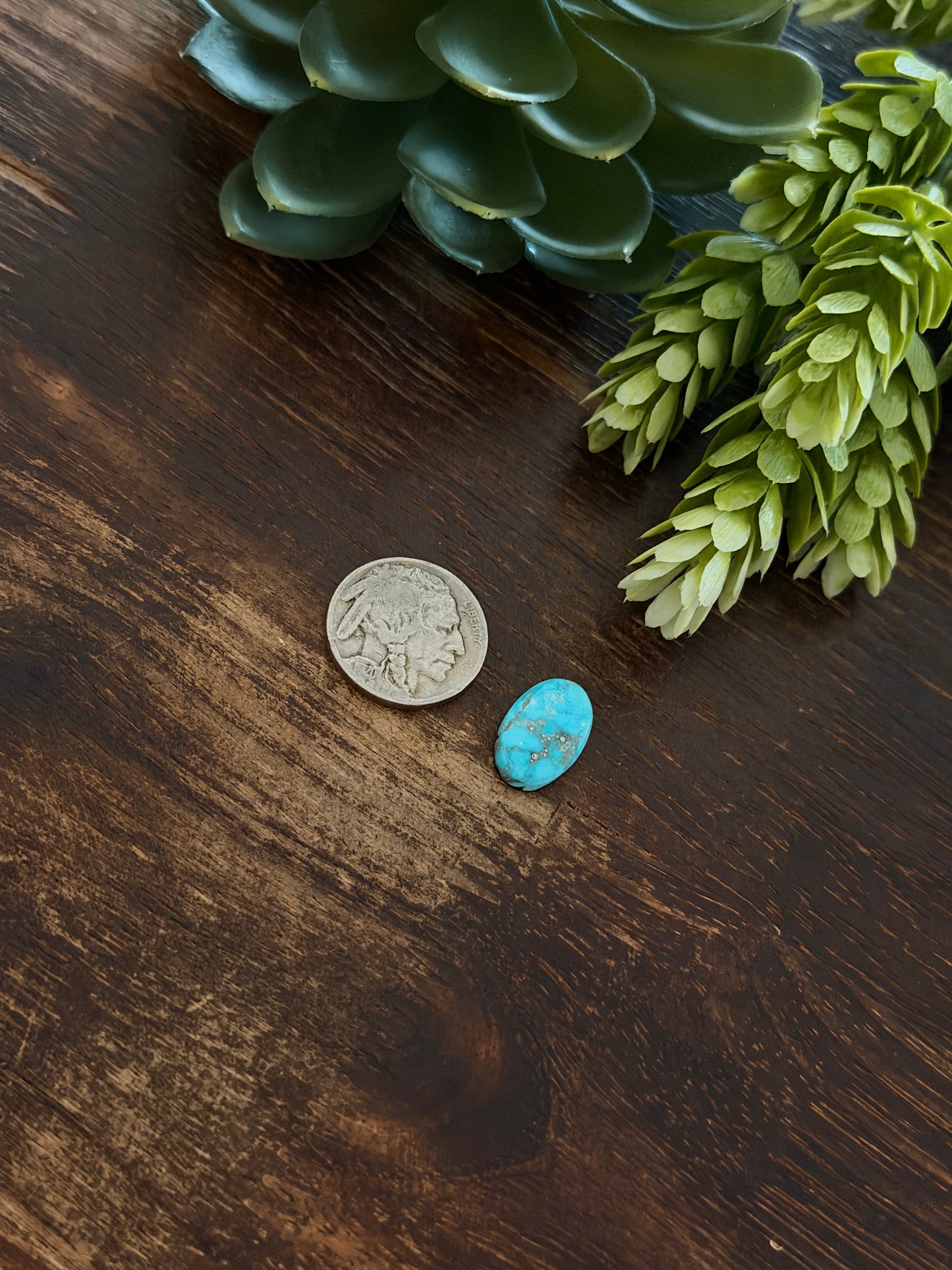 Blue Bird Turquoise Cab