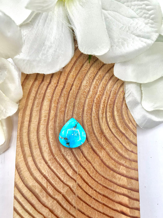 Blue Ridge Turquoise Cab