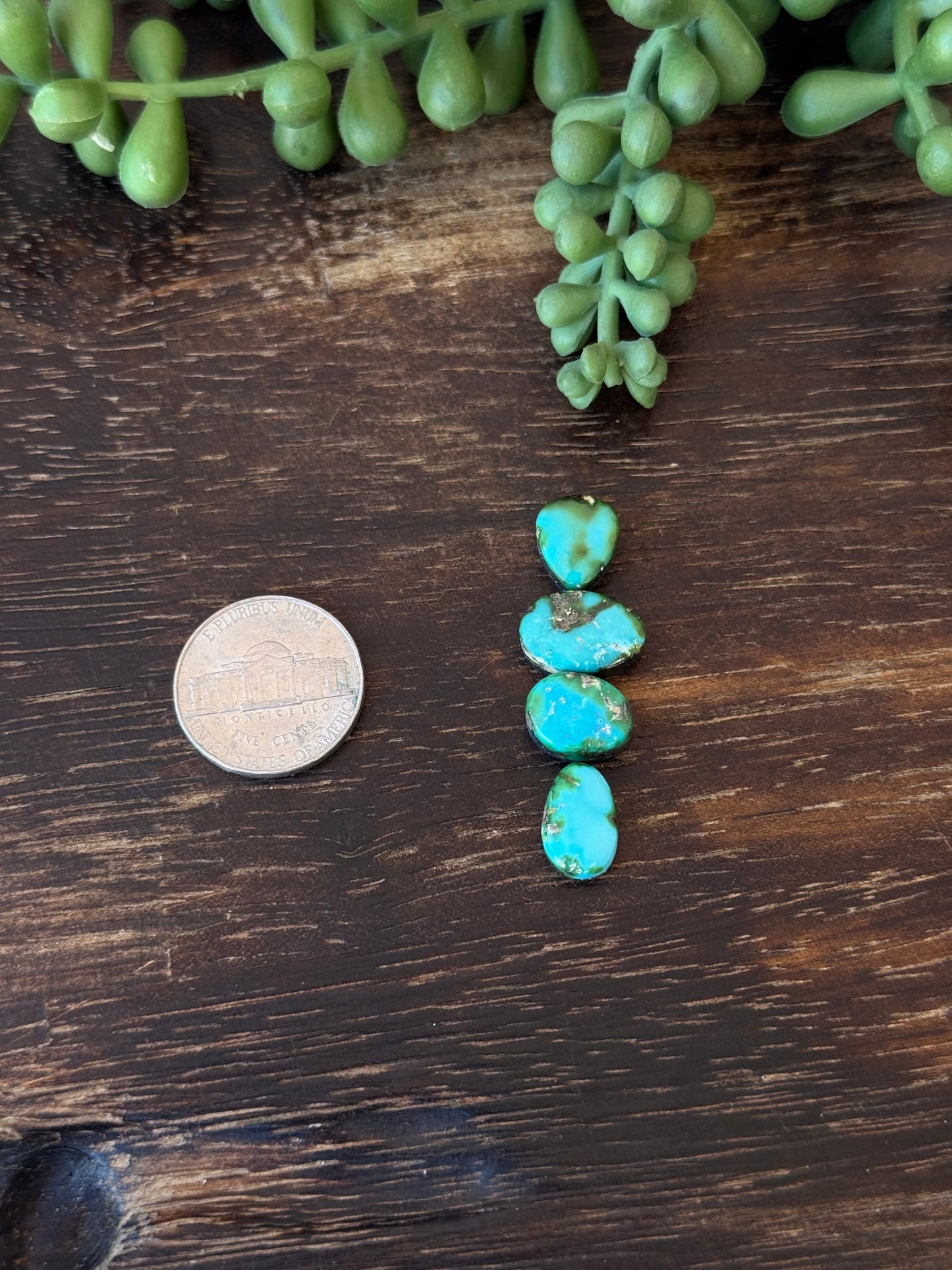 Sonoran Mountain Turquoise Cabs