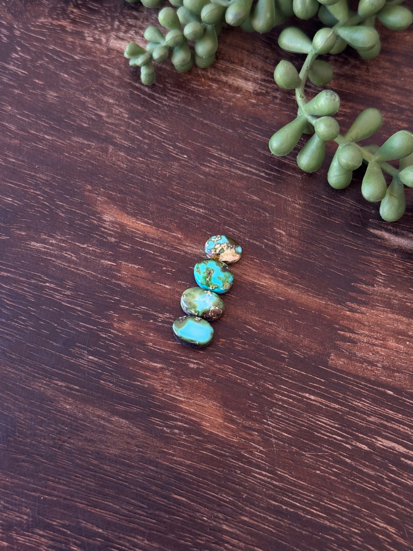 Sonoran Mountain Turquoise Cabs