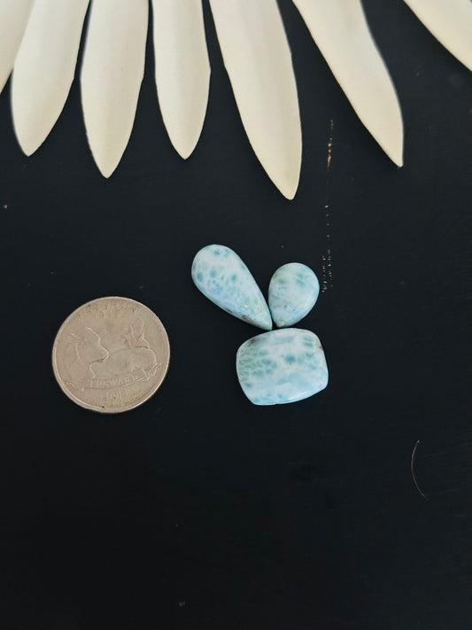 Larimar Cabs