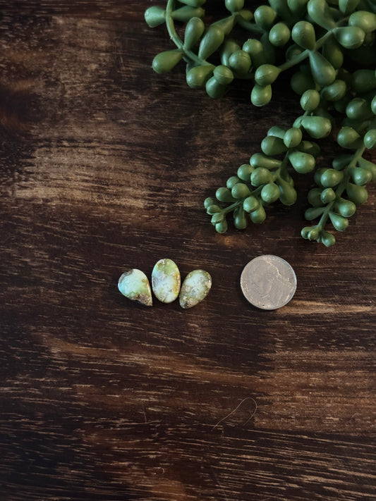 Palomino Variscite Cabs