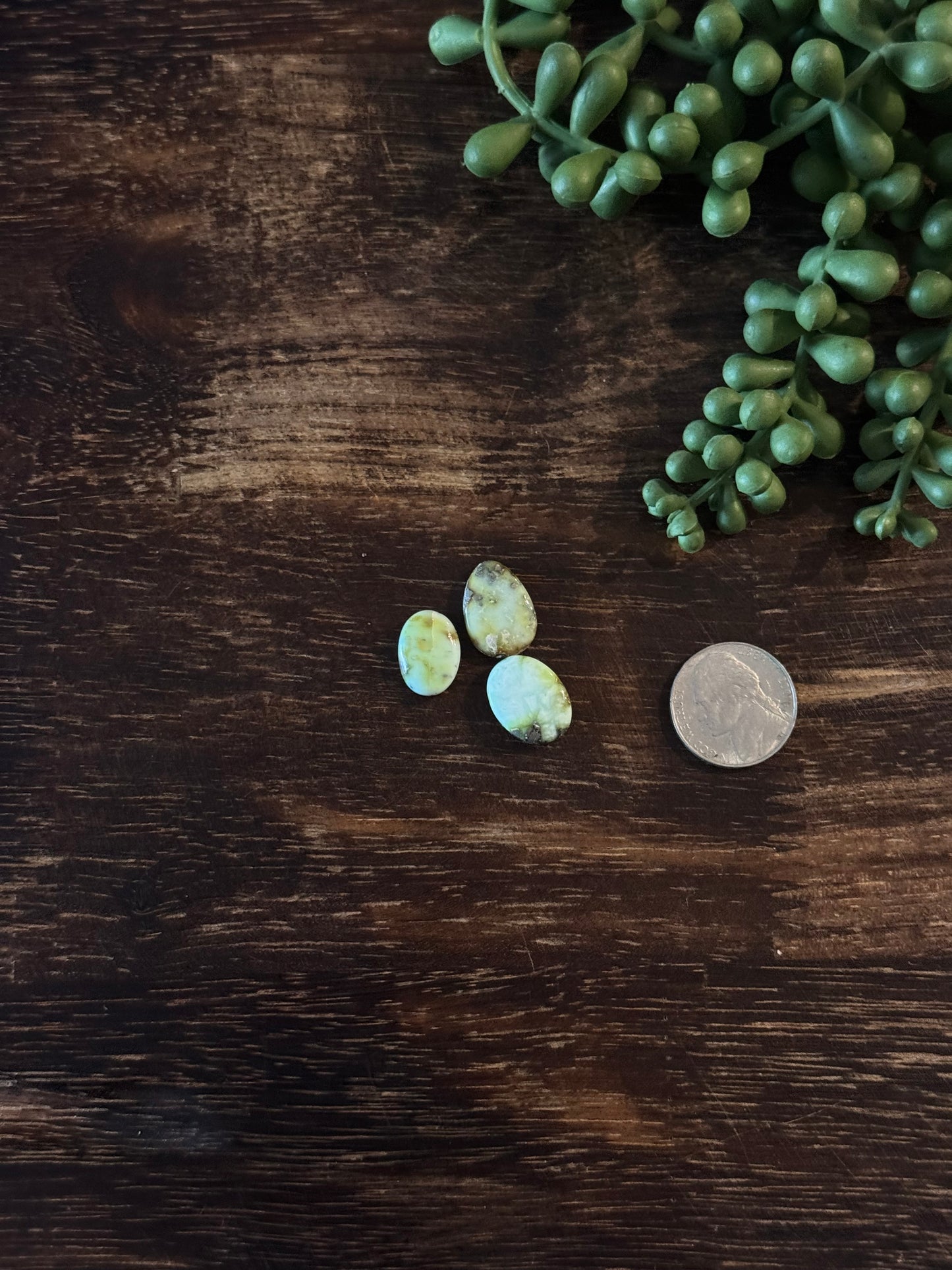 Palomino Variscite Cabs