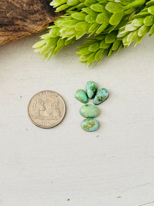 Natural Sonoran Gold Turquoise Cabs