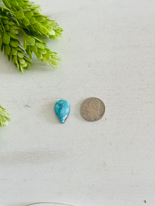 Blue Bird Turquoise Cab