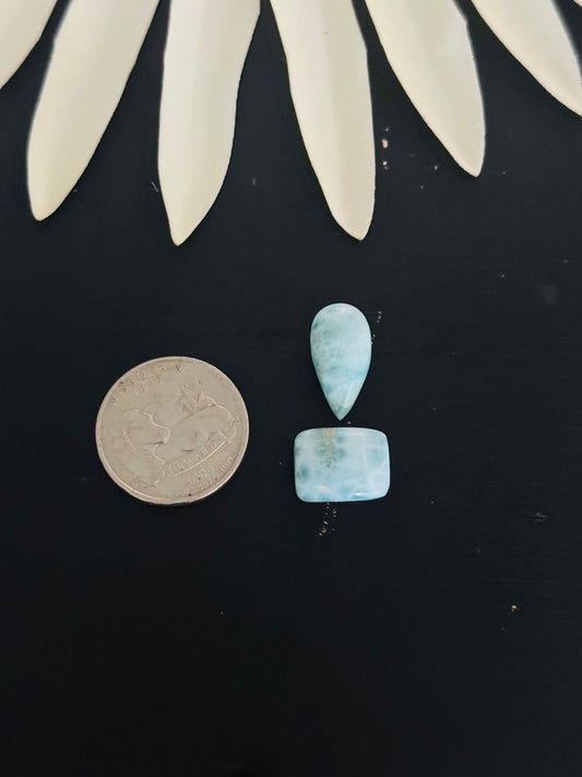 Larimar Cabs