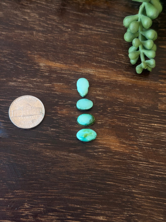 Sonoran Mountain Turquoise Cabs