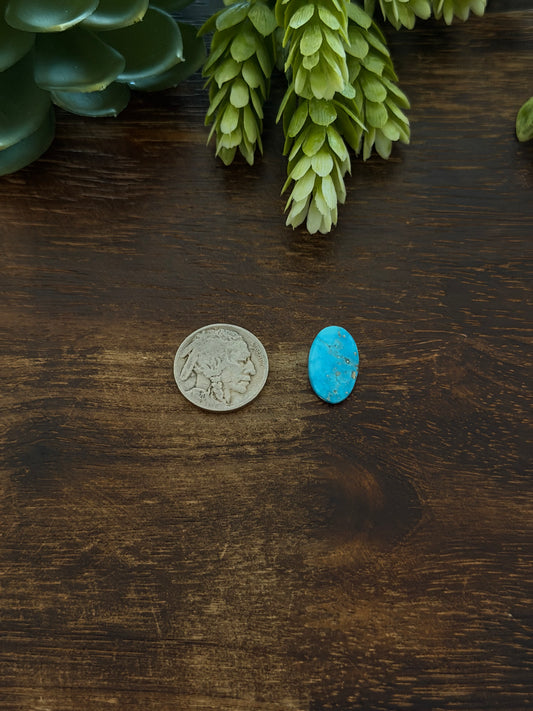 Blue Bird Turquoise Cab