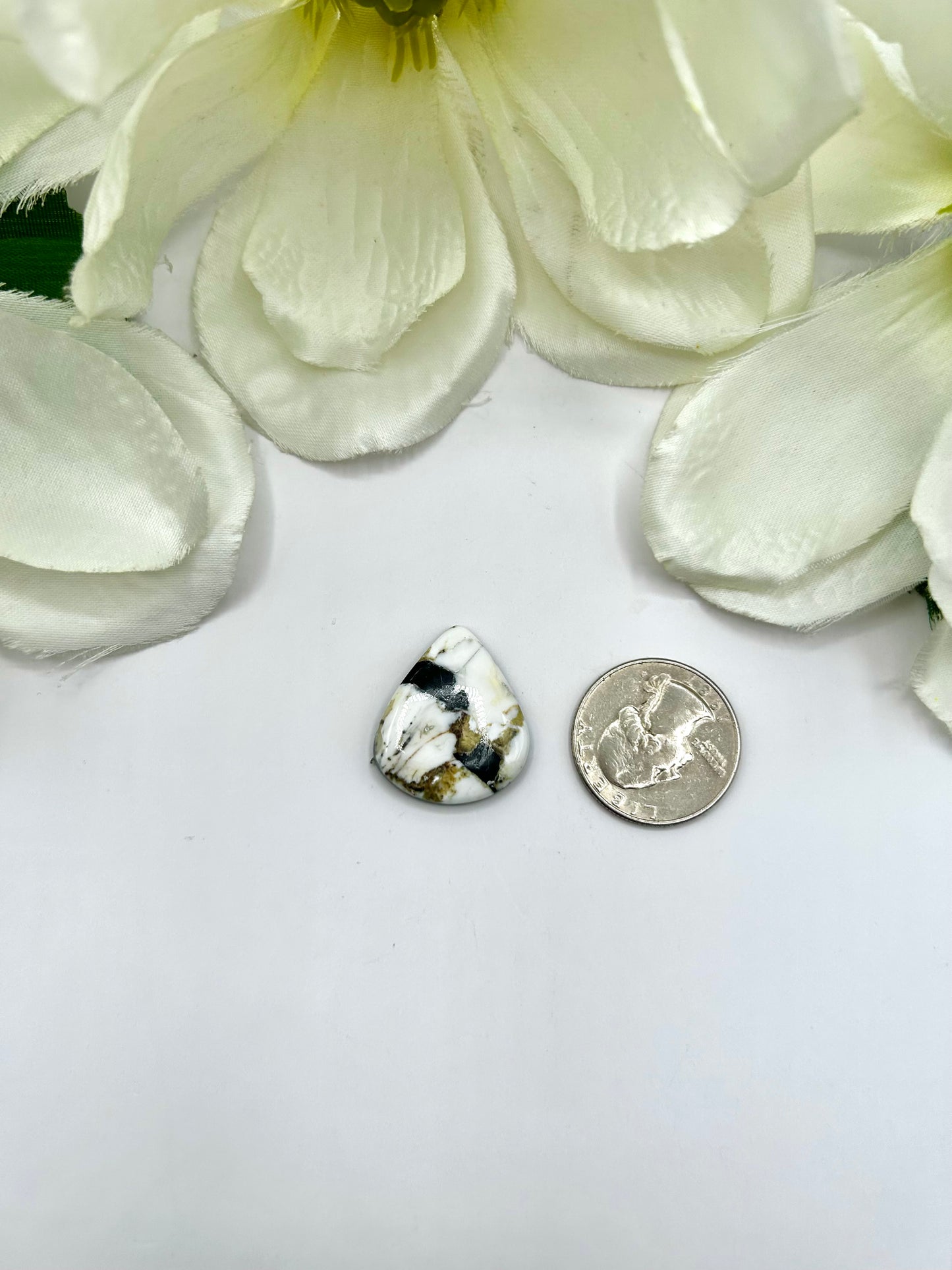 White Buffalo Cabs