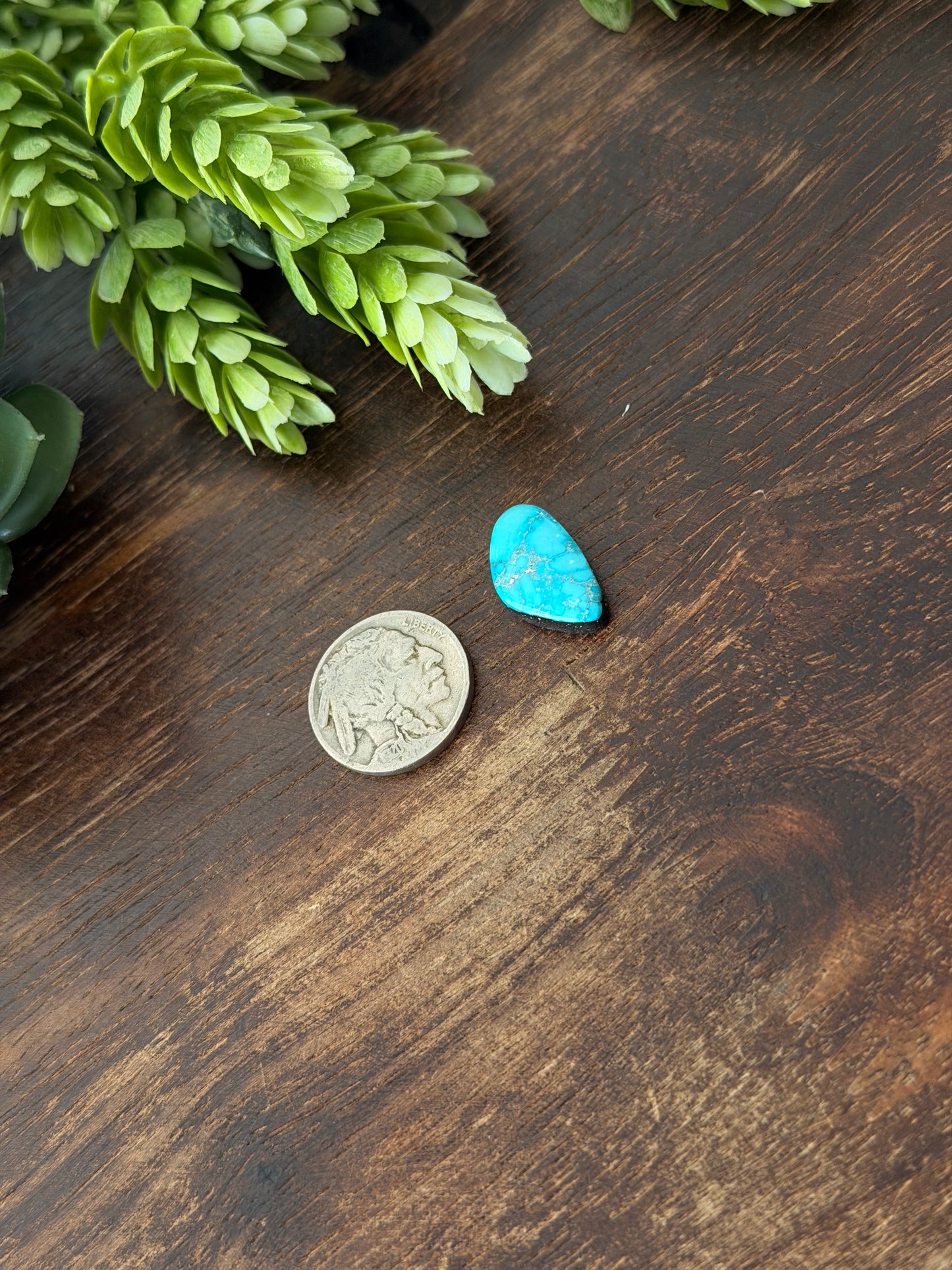 Blue Bird Turquoise Cab