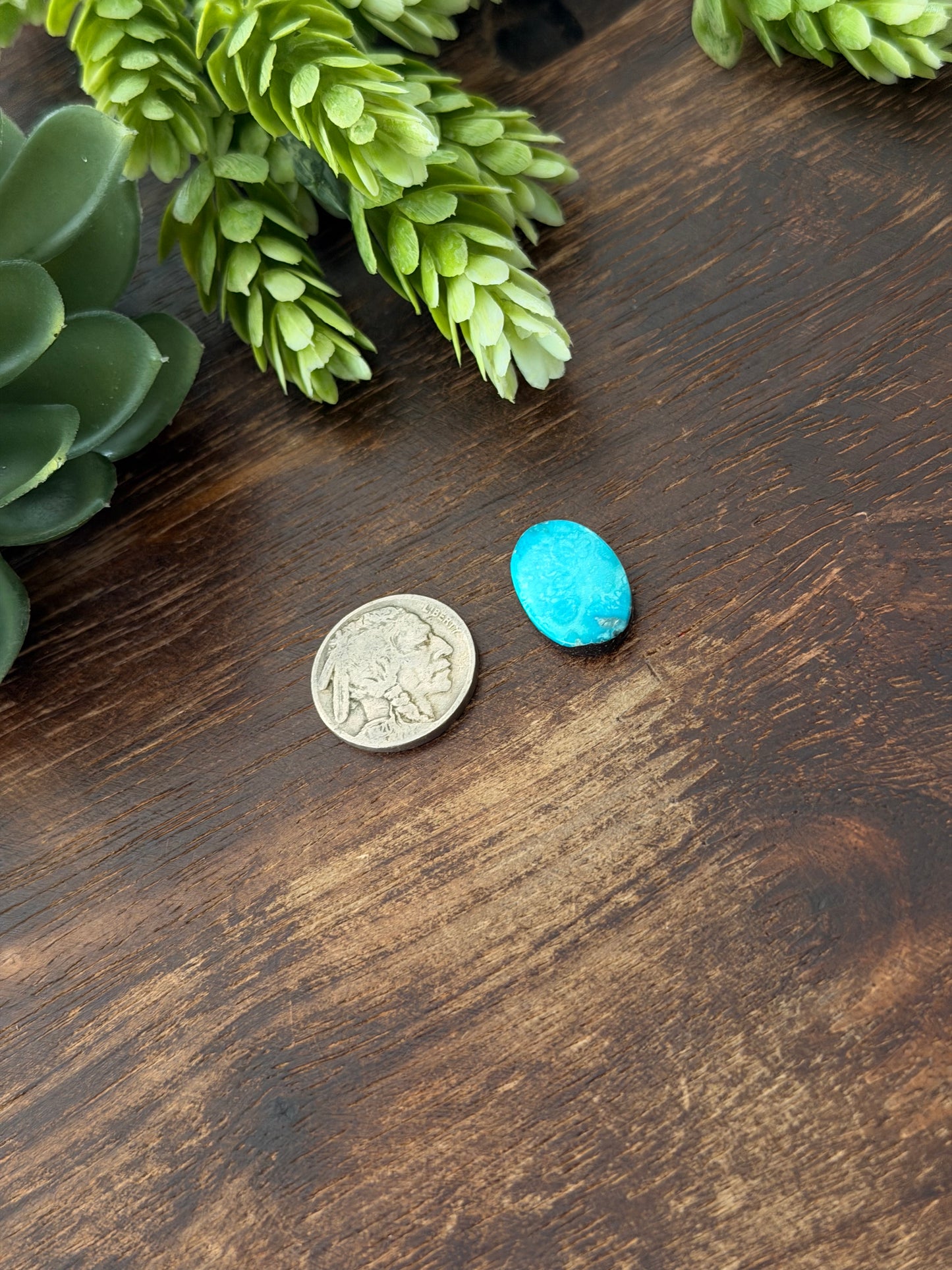 Blue Bird Turquoise Cab
