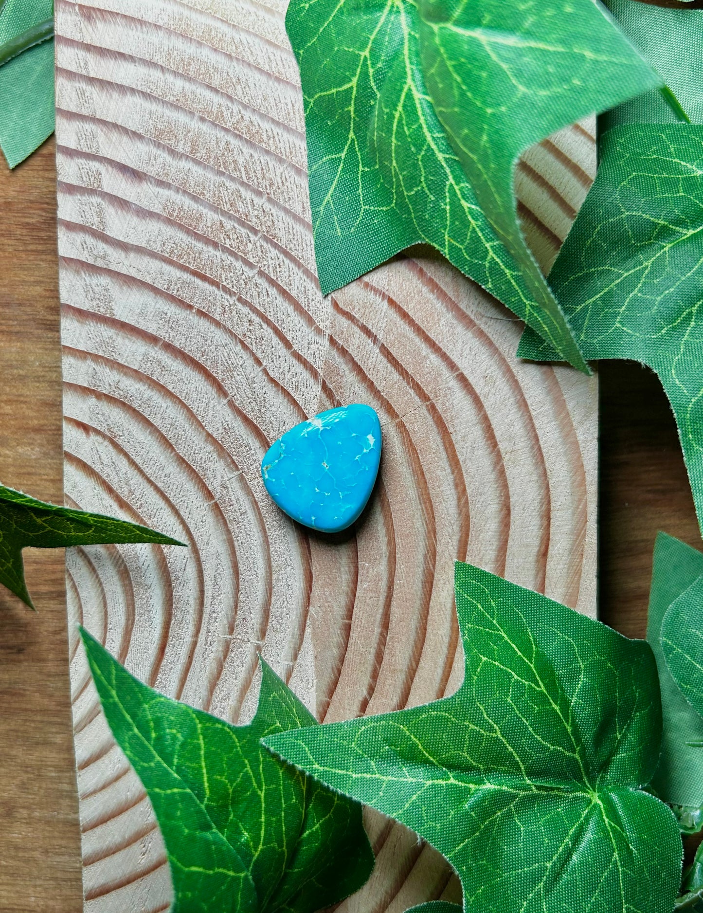 Blue Bird Turquoise Cabs