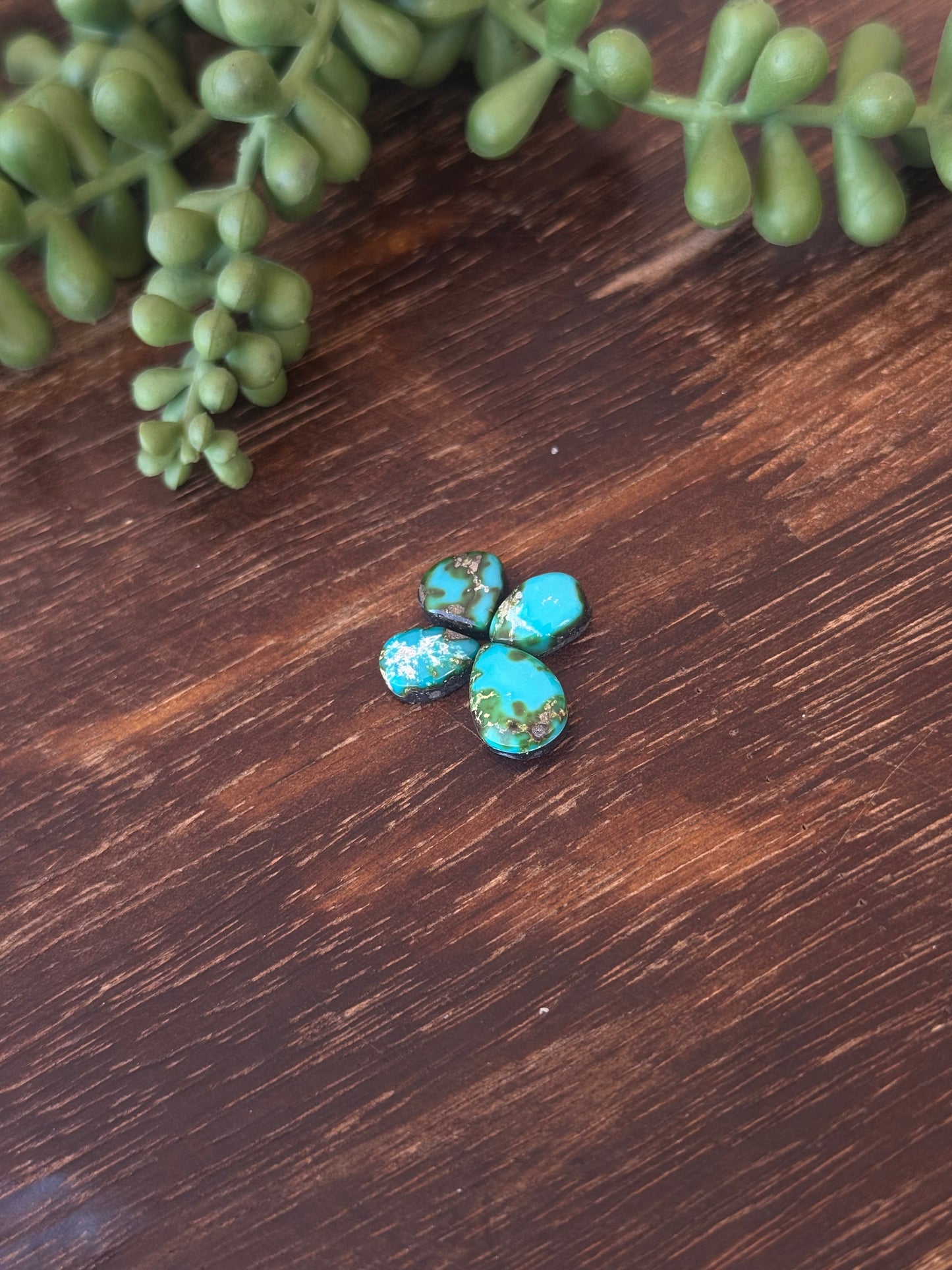 Sonoran Mountain Turquoise Cabs