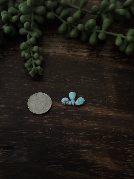 Golden Hills Turquoise Cabs