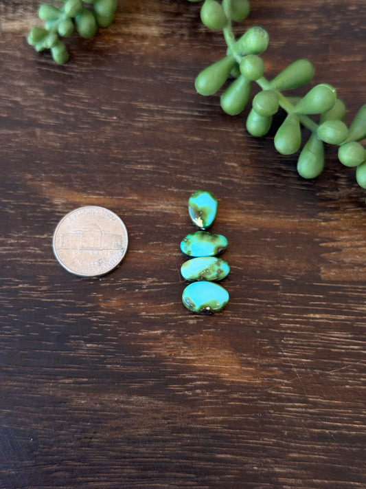 Sonoran Mountain Turquoise Cabs