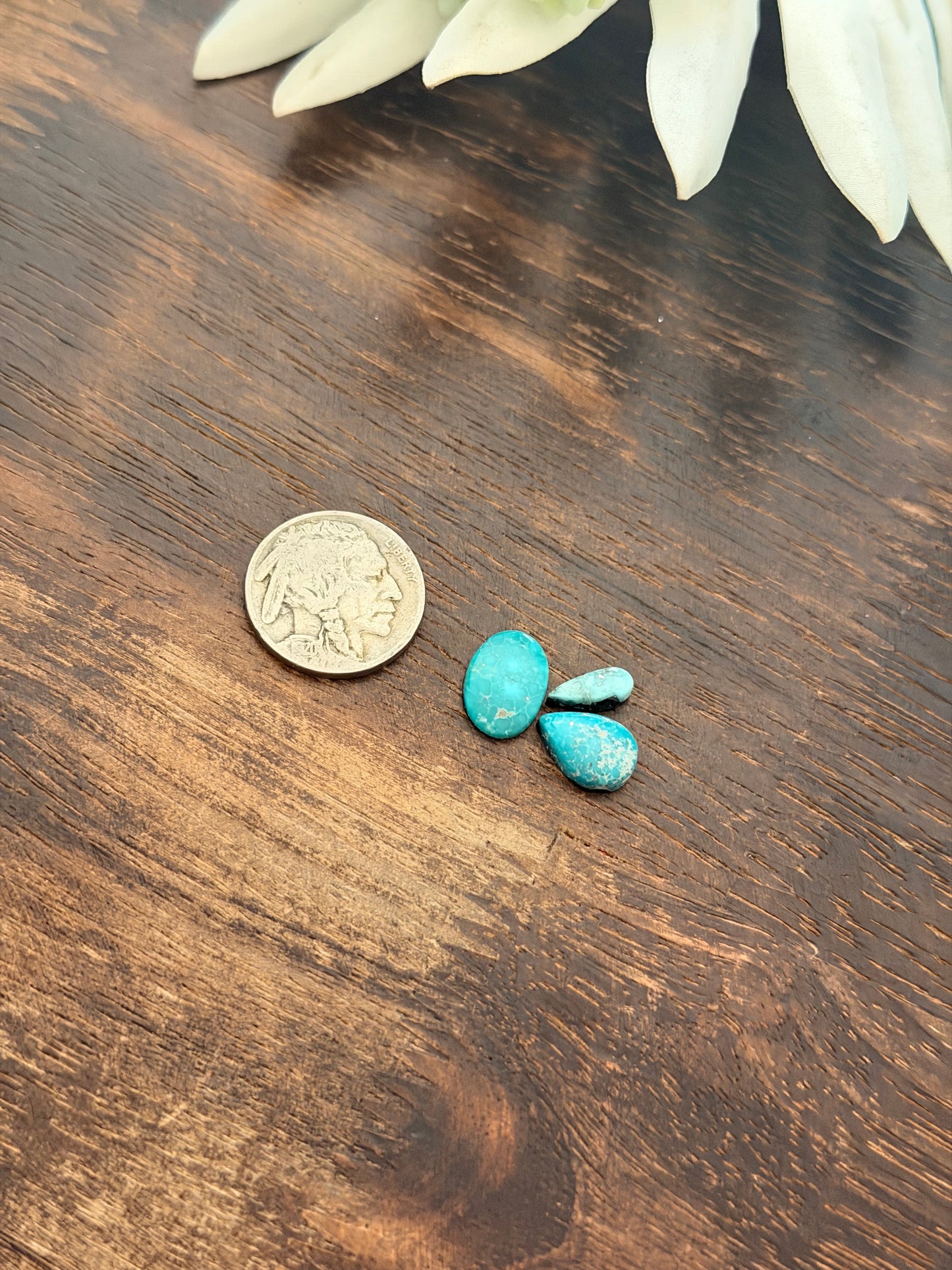 White Water Turquoise Cabs